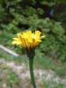 DSCF0066~5.JPG