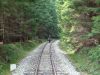 DSCF0069~0.JPG