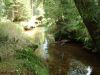 DSCF0070~6.JPG