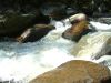 DSCF0072~6.JPG