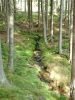 DSCF0075~4.JPG