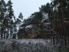 DSCF0088~6.JPG