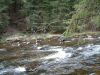 DSCF0092~2.JPG
