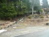 DSCF0097~0.JPG