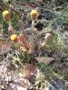 DSCF0097~6.JPG