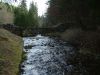 DSCF0099~3.JPG