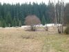 DSCF0102~4.JPG