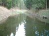 DSCF0105~1.JPG