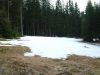 DSCF0107~3.JPG