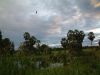 DSCF0115.JPG